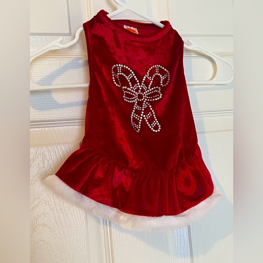 SimplyDog Christmas dress